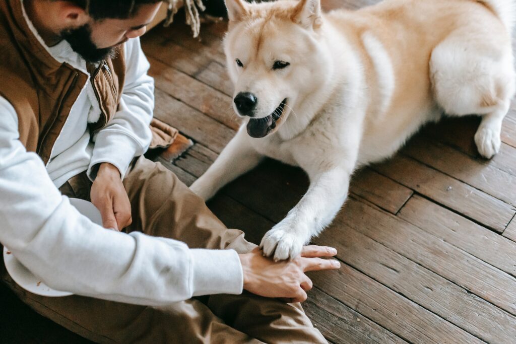 dog friendly coffee shop interior